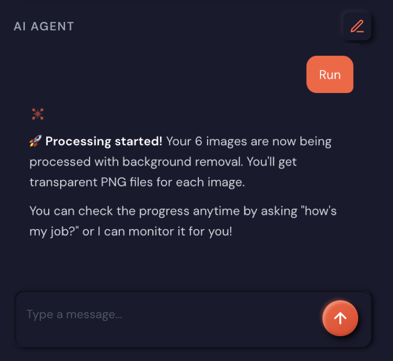 AI agent executing run command and confirming batch processing has started for product images