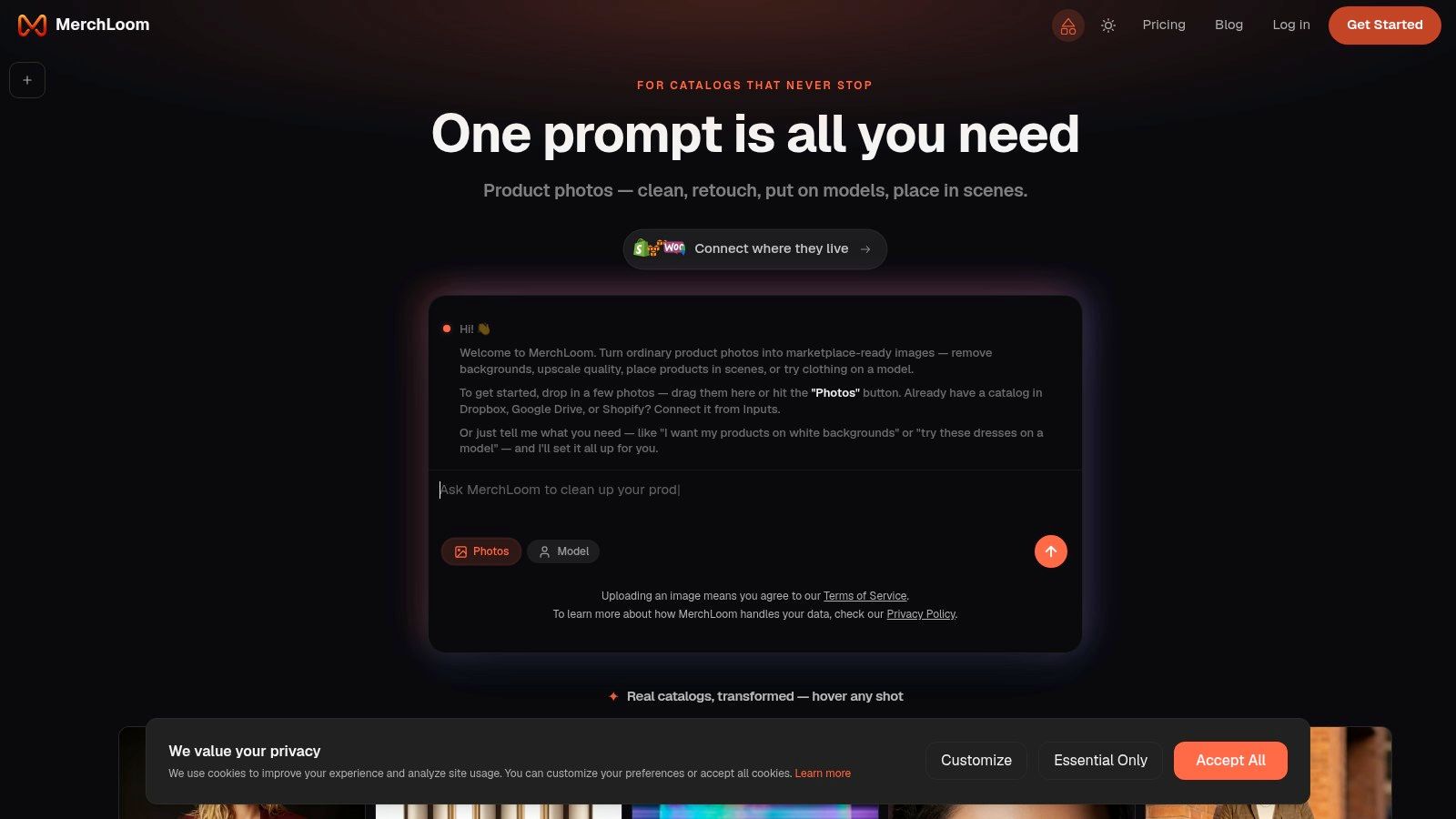 Screenshot from https://merchloom.ai