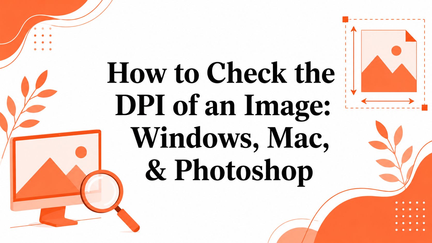 How to Check the DPI of an Image: Windows, Mac, & Photoshop