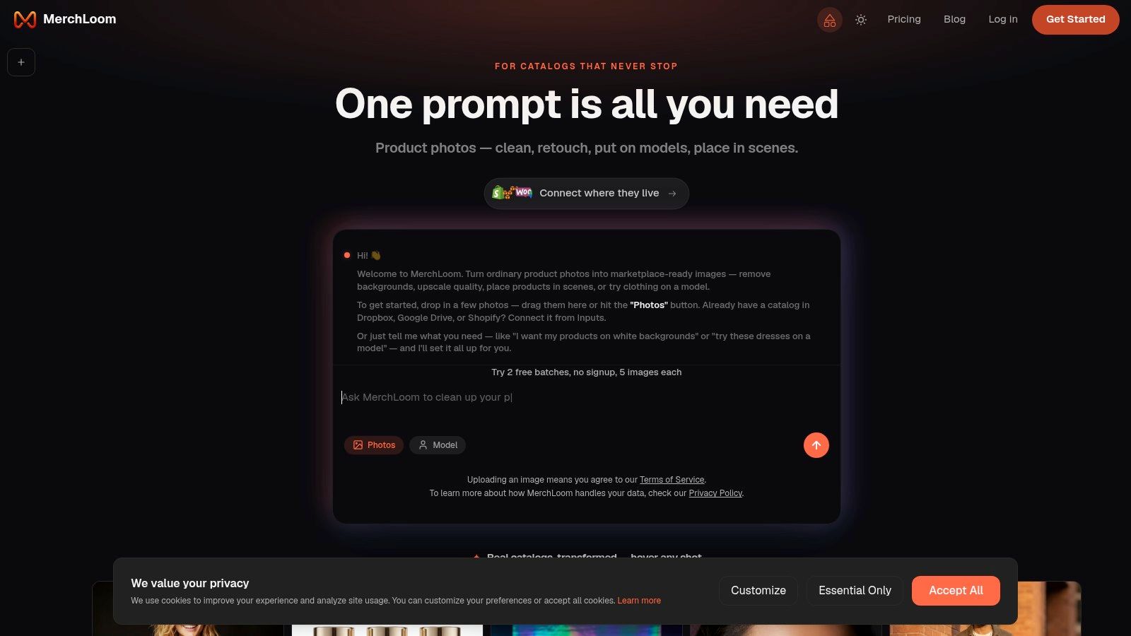 Screenshot from https://merchloom.ai