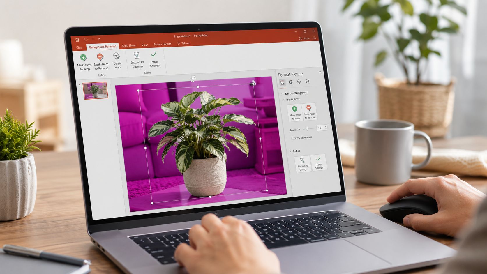 A person editing a plant image using the background removal tool in Microsoft PowerPoint on a laptop.