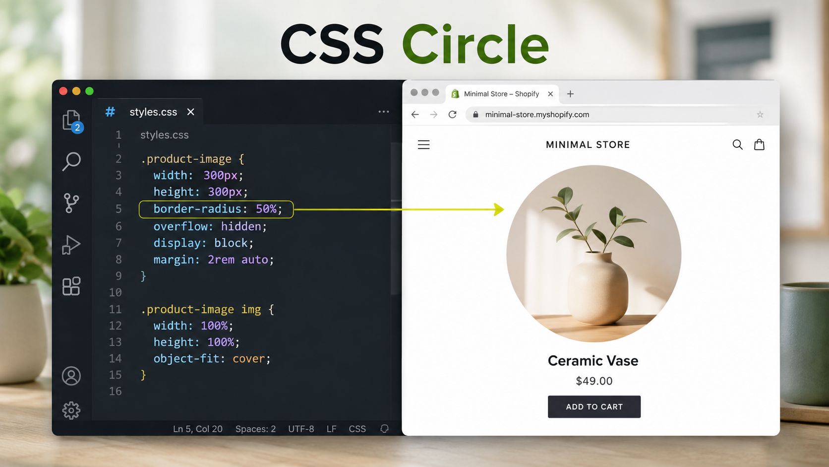 A code editor showing CSS properties next to a browser window displaying a round product image.