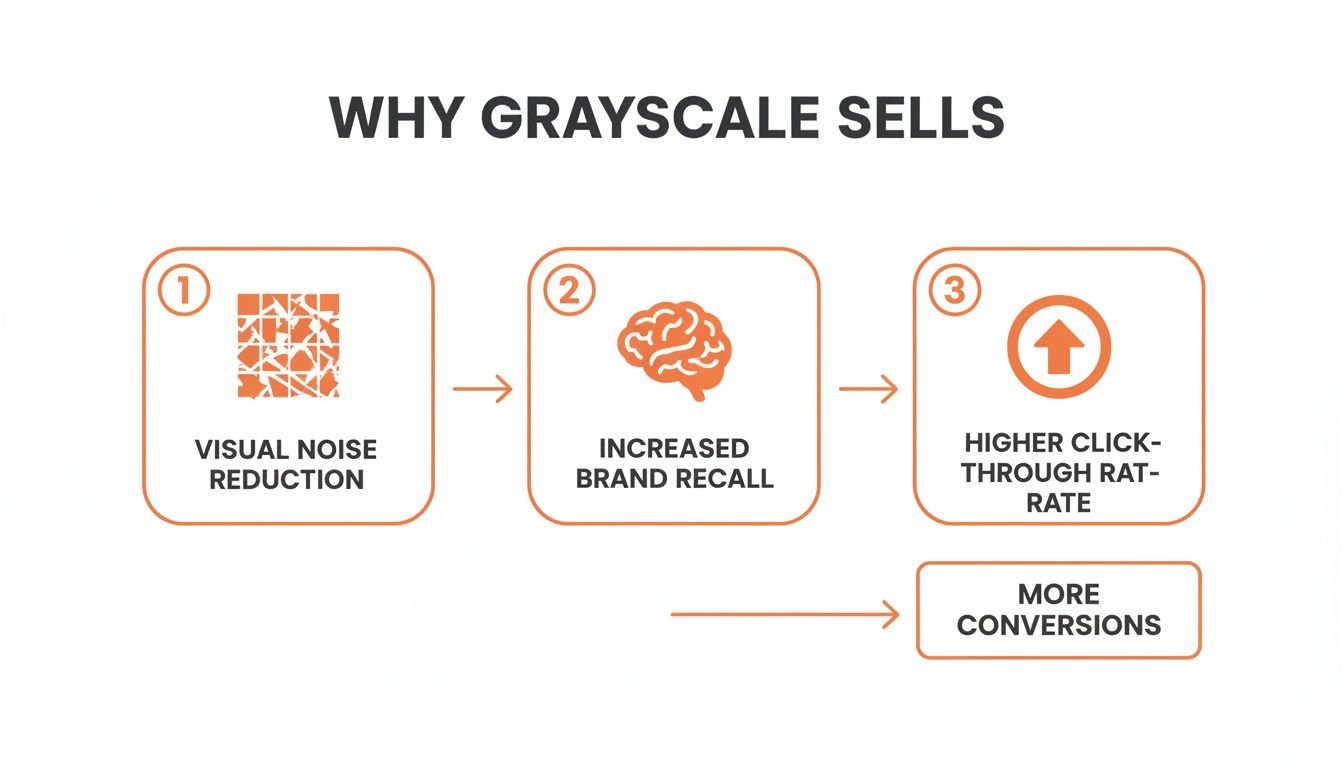 Flowchart explaining why grayscale sells, showing visual noise reduction, increased brand recall, higher click-through rate, and more conversions.
