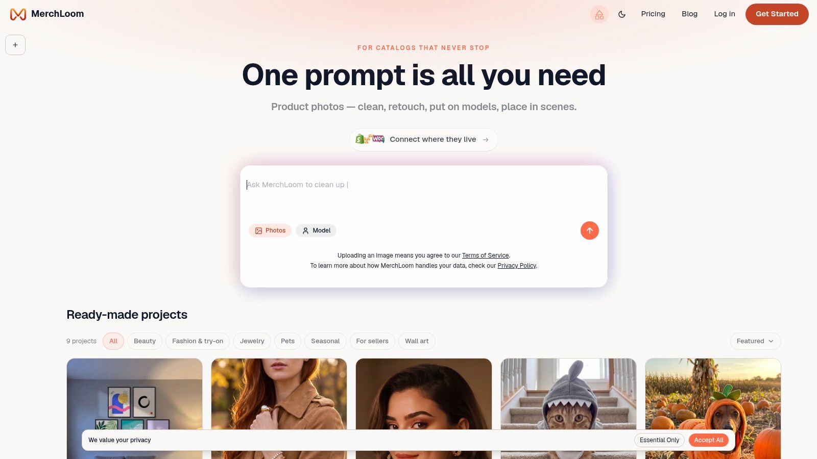 Screenshot from https://merchloom.ai