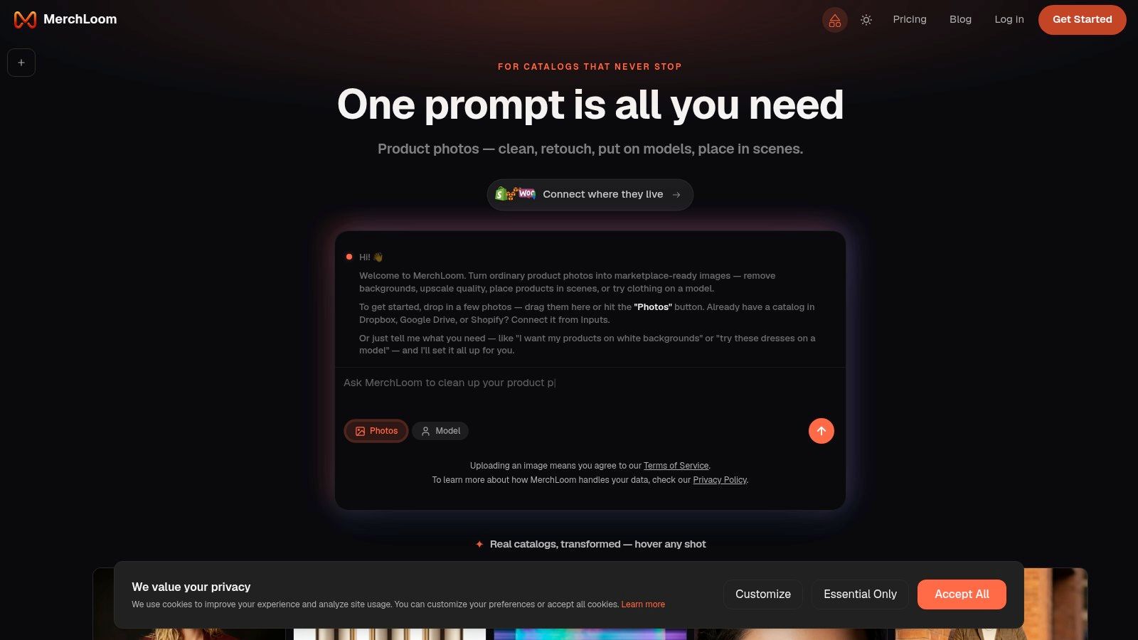 Screenshot from https://merchloom.ai