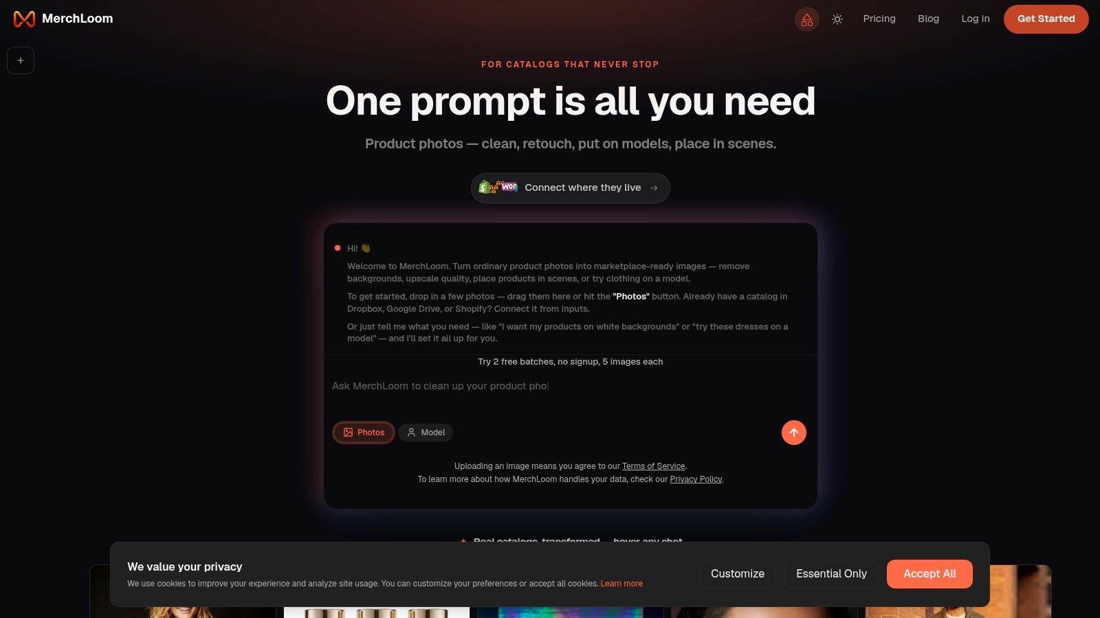 Screenshot from https://merchloom.ai